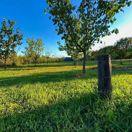 Altiora Nyaraló Szabadka