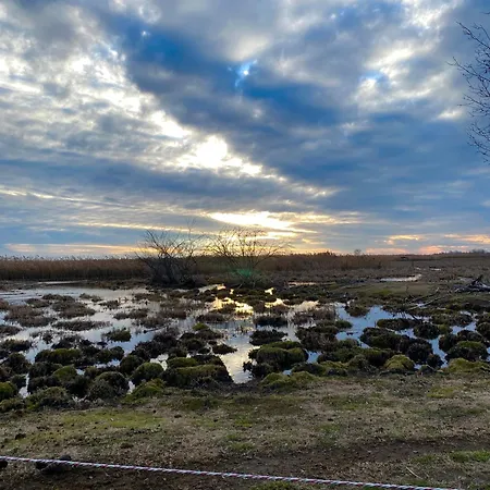 Nyaraló Altiora Szabadka