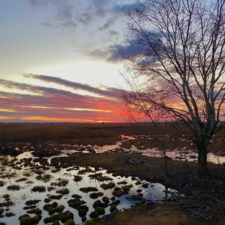 Semesterbostad Altiora *